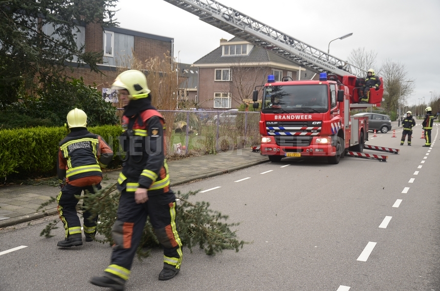 Brandweer verwijderd loshangende takken Tussenlanen Bergambacht - Nieuws op Beeld