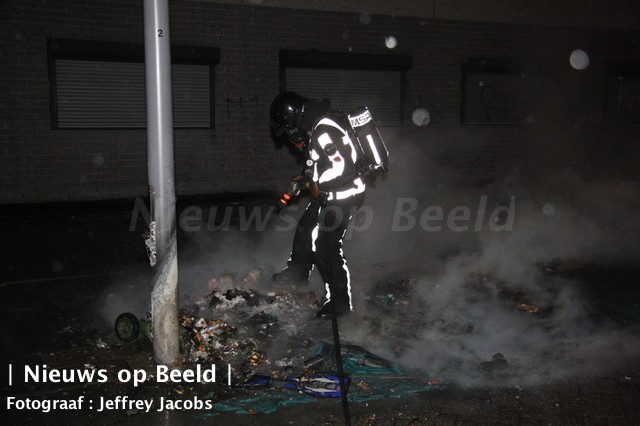 01-01-13-dwerggras-3