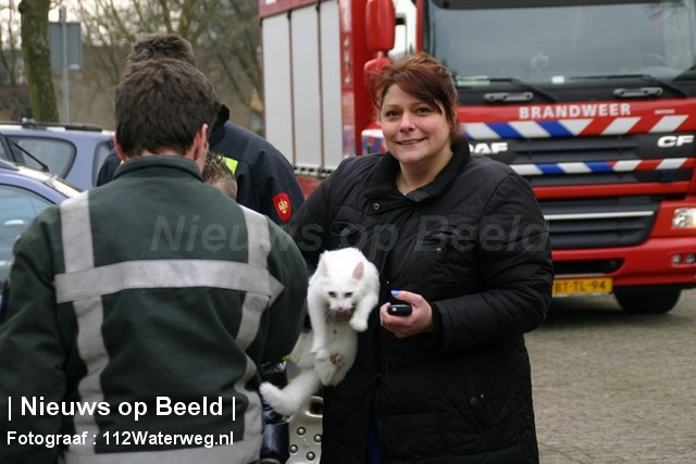 20-03-13-Koolmeesstraat-Vlaardingen-HVdieren4