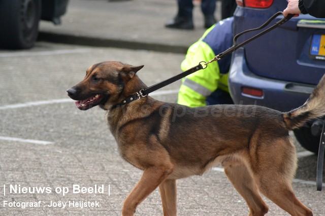Inbreker door politiehond in kraag gevat Oostzeedijk Rotterdam