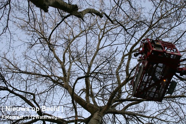 30-04-13-GeorgeStephensonweg-Vlaardingen-HV-Dier5