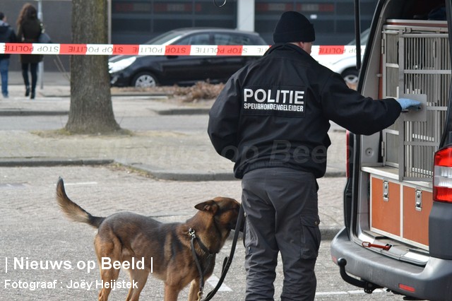 Stockfoto-Joey-hondengeleider1