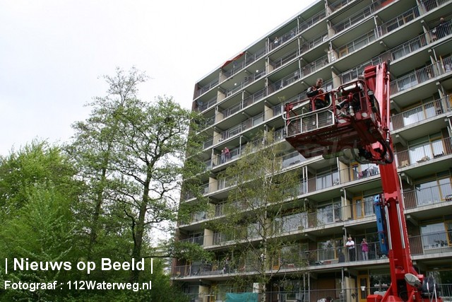08-05-13-Aalscholverlaan-Vlaardingen-HVDieren2