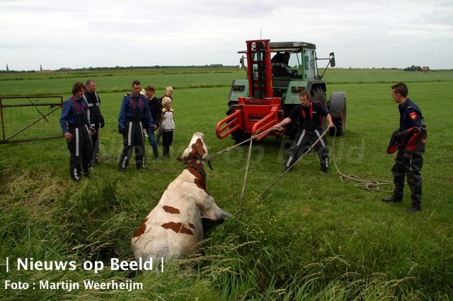 Brandweer helpt boer met koe te water Broekpolderweg Vlaardingen