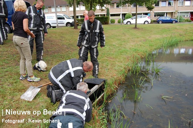 10-09-13-JanvAlmondestraat-Poortugaal-Waterkip2 10-09-13-JanvAlmondestraat-Poortugaal-Waterkip2.jpg