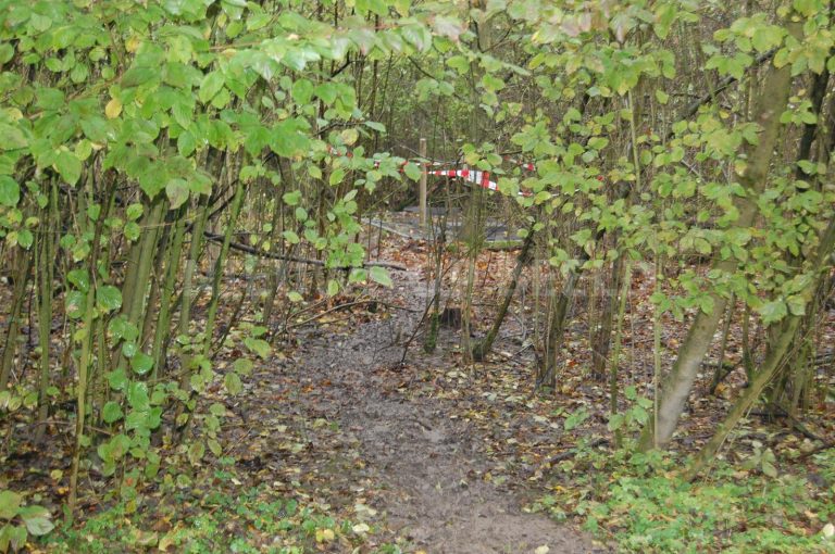 20 jaar celstraf voor twee moorden in het Kralingse Bos en één doodslag in Soest uit 1993