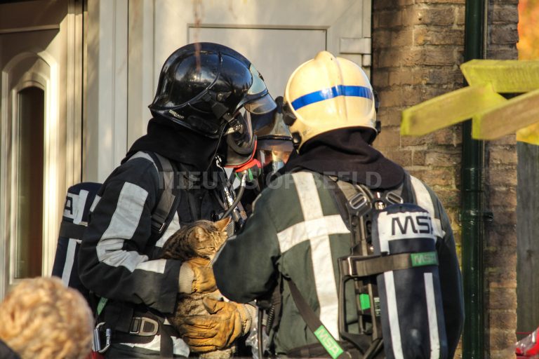 Huisdieren gered bij brand in woning Louise de Colignylaan Vlaardingen