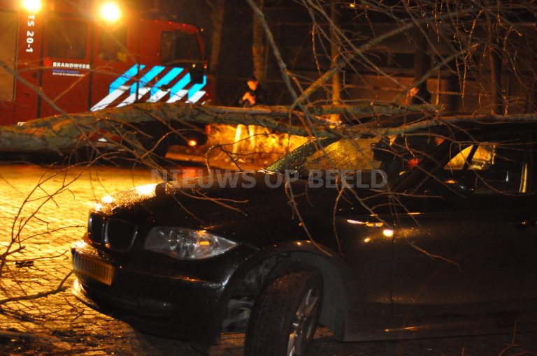 Geparkeerde auto’s ernstig beschadigd door omgevallen boom Zuiderparkweg Rotterdam