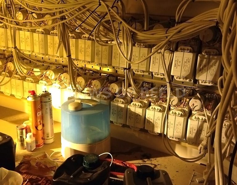 Hennepkwekerij ontdekt na melding wateroverlast Isabellaland Den Haag