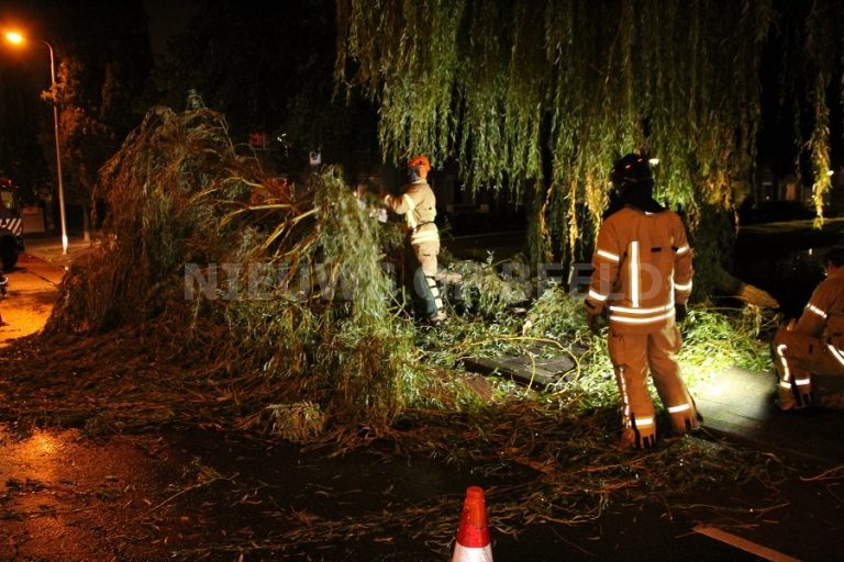Grote tak waait van boom Koekoekstraat Krimpen aan den IJssel