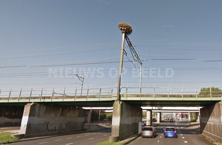 Treinverkeer plat tussen Rotterdam Centraal en Alexander vanwege ooievaarsnest