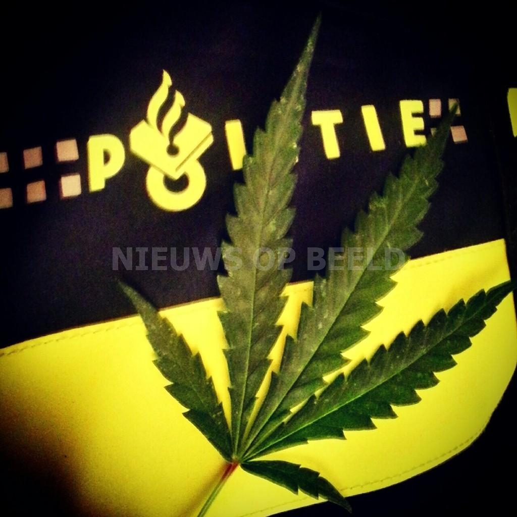 Wietblad Hennep Drug Illegaal