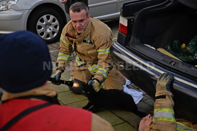 Brandweer bevrijdt kat uit onderstel van auto Essenburgsingel Rotterdam