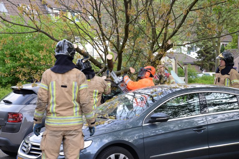 Boom vernield auto in woonwijk Ferdinand Huyckburg Capelle aan den IJssel