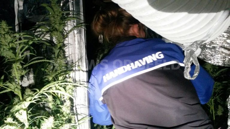 Tweedaagse integrale controle Handhaving, Stedin, brandweer en politie levert onder ander hennepkwekerij Gemzenstraat Capelle a/d IJssel op