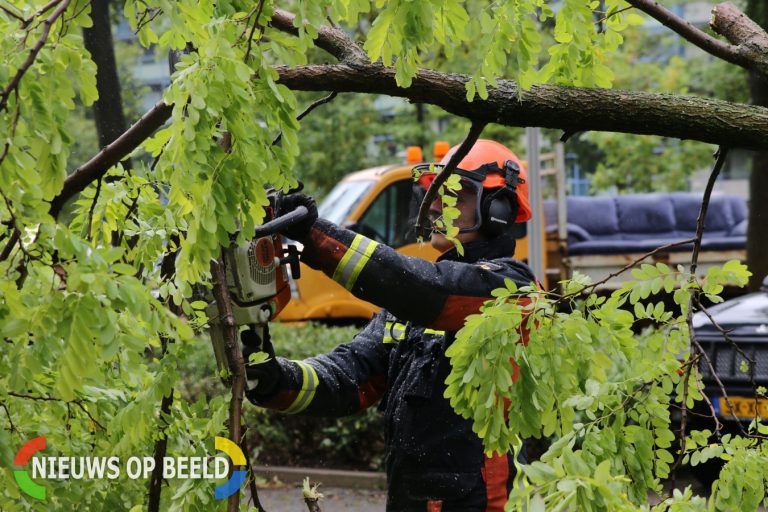 Overzicht van stormschade in Leiden, Leiderdorp, Warmond en Oegstgeest