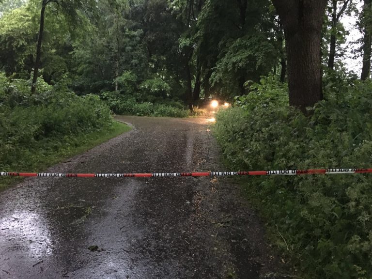Door politie neergeschoten Capellenaar (21) meldde zelf signalement ‘berover’ Prinses Beatrixpark Schiedam