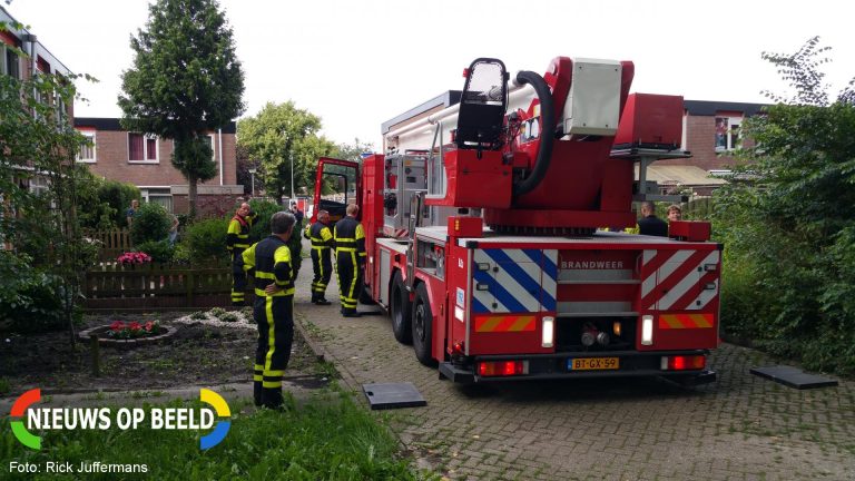 Brandweer haalt kat uit de boom Anthony Donkerhove Zoetermeer