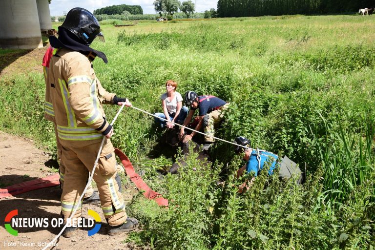 Brandweer haalt 20 jaar oud paard uit sloot Hoogvlietsekerkweg Poortugaal