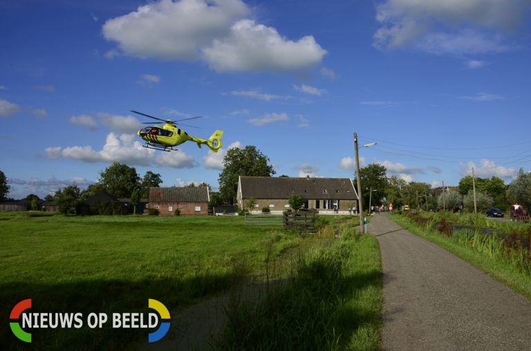 Man ernstig gewond na aanval van koe Beijerscheweg Stolwijk