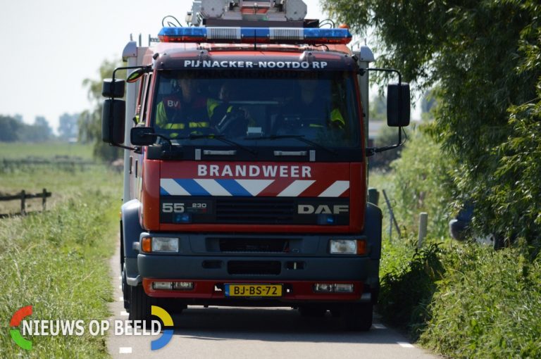 Pony belandt in sloot Onderling Pijnacker