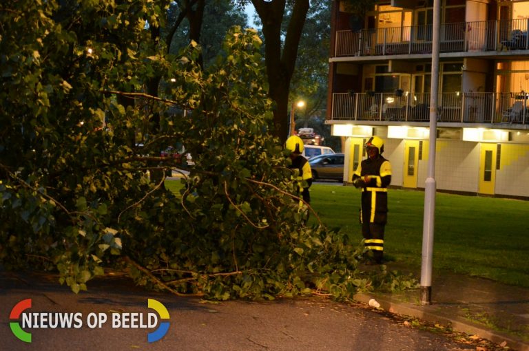 Brandweer ingezet bij loshangende tak Diederik van Teilingenlaan Zoetermeer