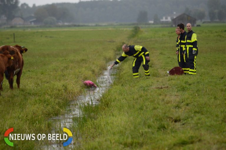 Dier ter water blijkt ballon te zijn Oude Leedeweg Pijnacker
