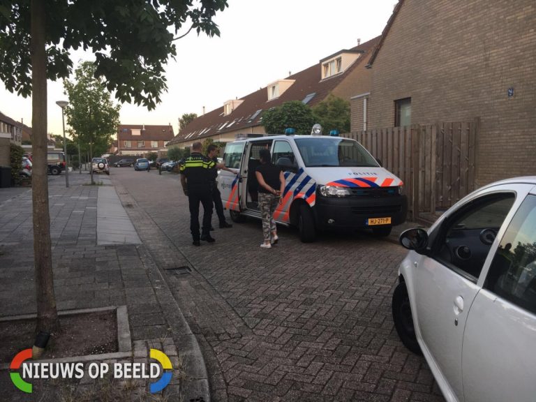 Agent breekt hand en lost waarschuwingsschot Jan Wernaed van den Berghpad Schiedam