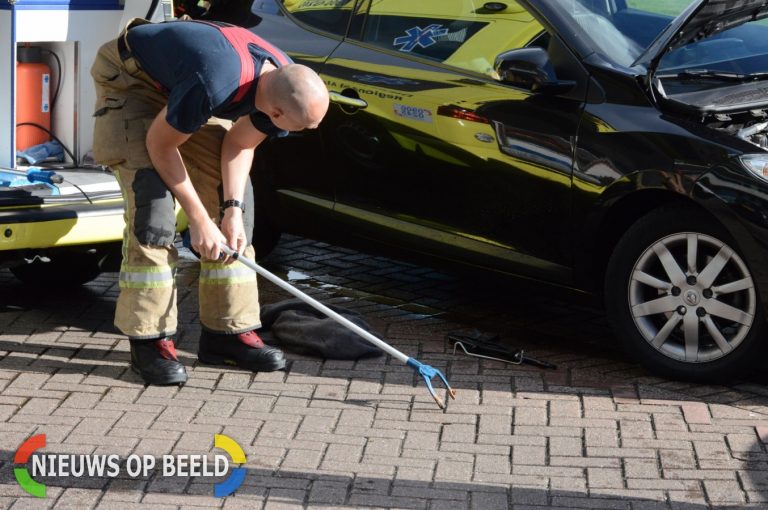 Brandweer haalt konijn onder de motorkap vandaan Apollostraat Rotterdam