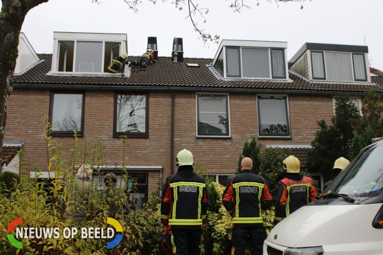 Brandweer bevrijdt vogel uit schoorsteenkap Hoofdstraat Leiderdorp