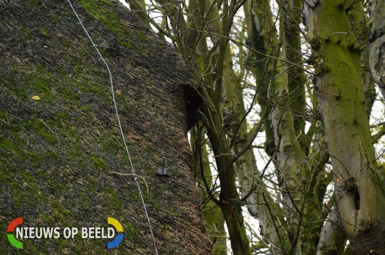 Boom valt op dak van woning Voorweg Zoetermeer