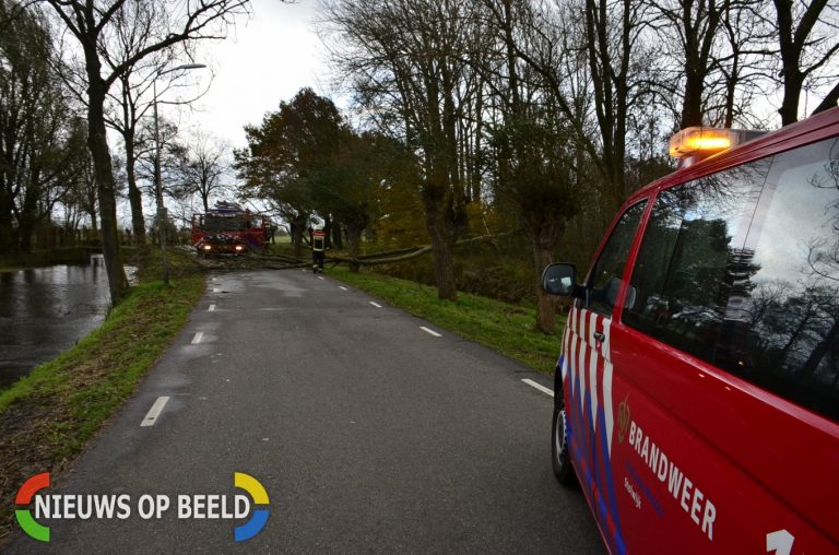 Grote boom waait om en versperd de weg Goudseweg Stolwijk