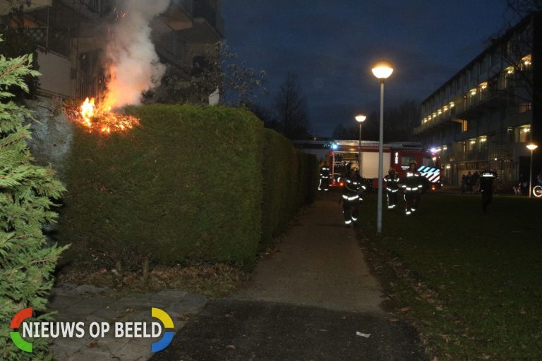 Brandweer blust brandende coniferen Ravenpad Leiden