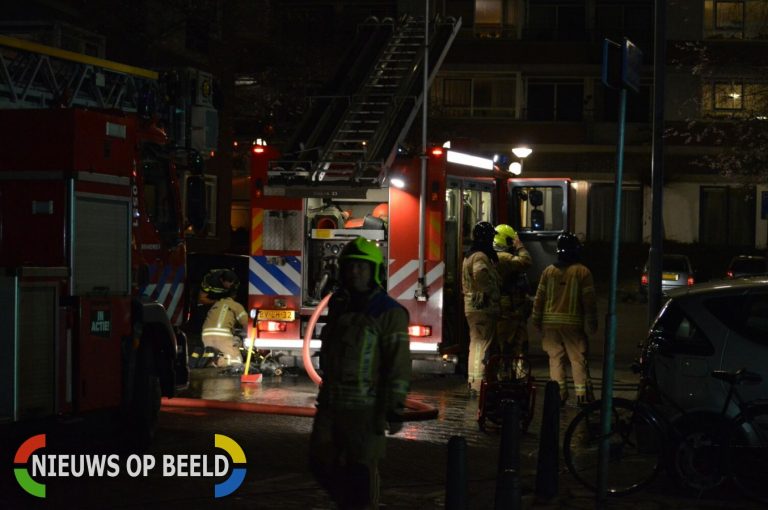 Twee gewonden en schildpad gered bij felle woningbrand Talmastraat Rotterdam