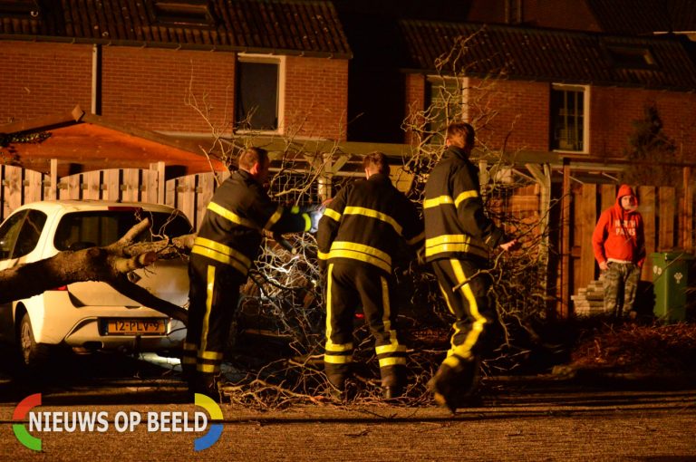 Boom valt op personenauto Snoeksloot Zoetermeer