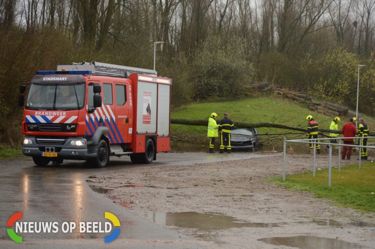 Brandweer doet oefening in samenwerking met Bosbeheer Buytenparklaan Zoetermeer