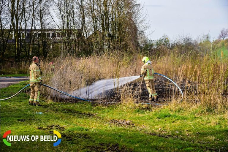 Brandweer blust brand in rietveld Ekster Barendrecht