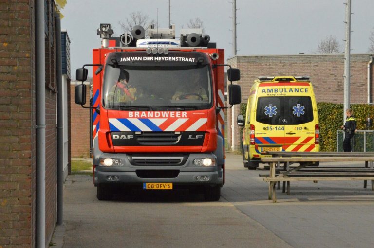 Brandweer haalt meisje uit de boom Merenweg Bleiswijk