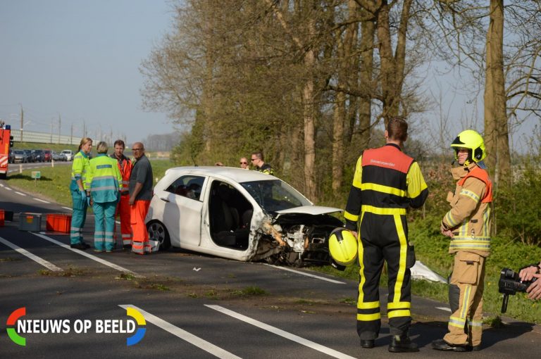Auto raakt van de weg en belandt tegen boom N209 Bleiswijk