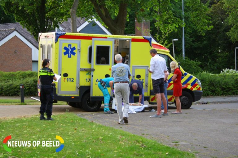 Hond zwaargewond na aanrijding tussen twee personenauto’s Lijsterlaan Bleiswijk