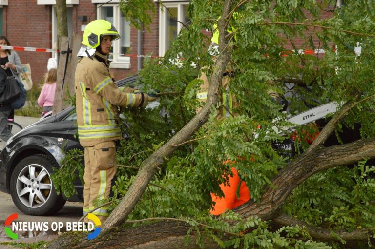 Weg verspert door omgewaaide boom Peppelweg Rotterdam