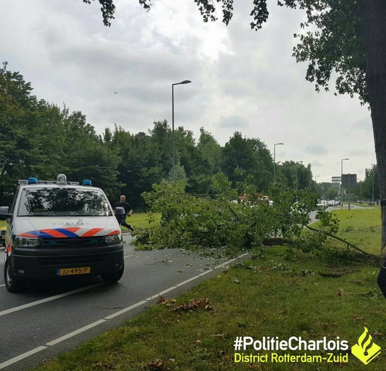 Grote tak valt op auto Groene Kruisweg Rotterdam