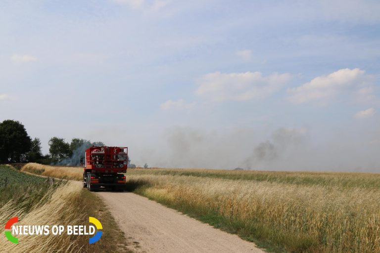 Grote buitenbrand in korenveld Sjteinpaedje Sittard