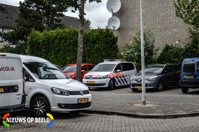 Kattenmoordenaar actief Marter Hellevoetsluis