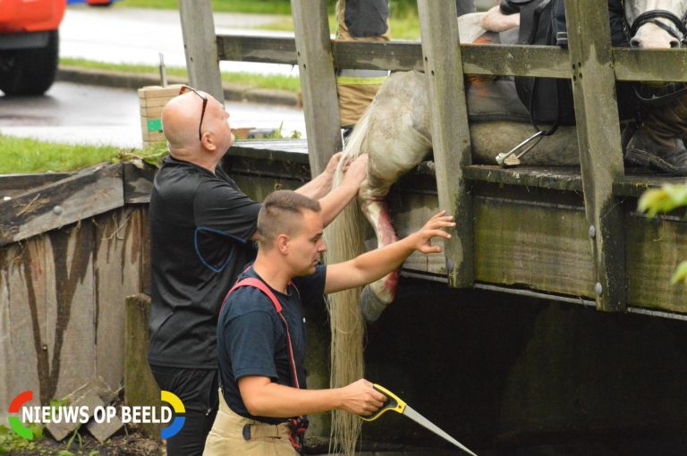 Paard gewond na uitglijder op brug Hoeksekade Bergschenhoek