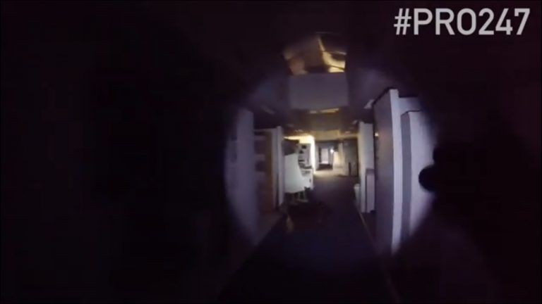 PRO24/7 video : Politiehond speurt naar inbrekers Baby en Tiener Sliedrecht