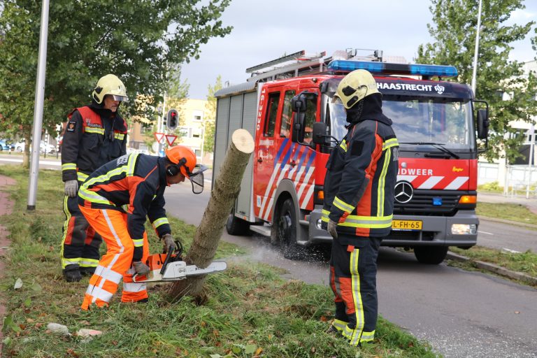 Boom versperd weg Bachstraat met Componistenlaan Gouda