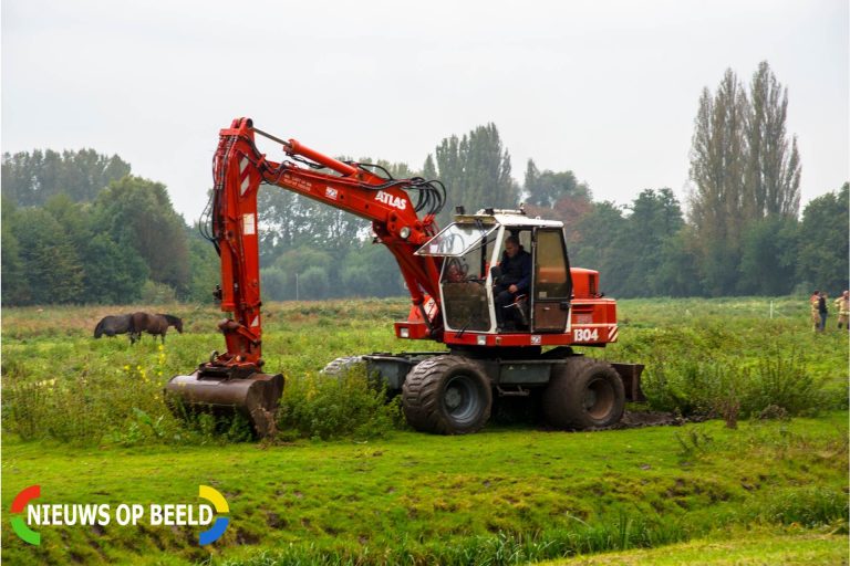 Brandweer redt paard uit sloot Valckesteinweg Poortugaal