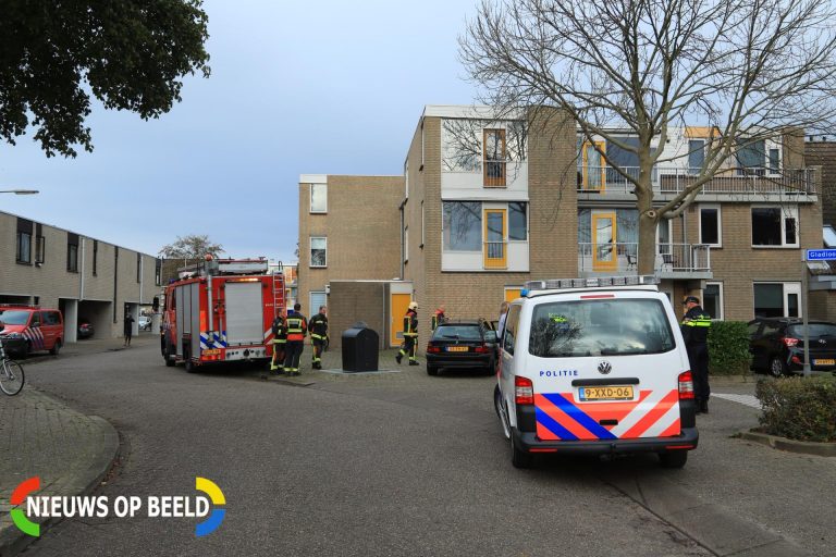 Bewoner en baby onwel bij vreemde lucht Gladioolveld Nieuwerkerk aan den IJssel
