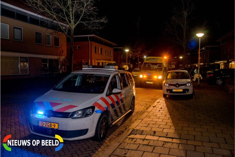 Omstanders redden dronken vrouw uit sloot Doelwijck Rhoon